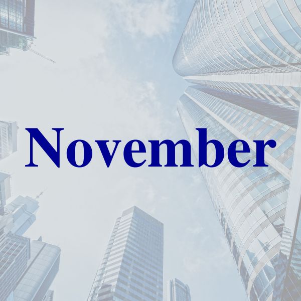 Read more about the article NOVEMBER
